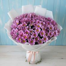 Букет цветов из:  Хризантемы #REPLACE_PRED# Новом Городке