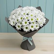 Букет цветов из:  Хризантемы #REPLACE_PRED# Новом Городке